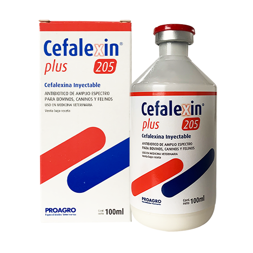 Cefalexin-Plus-205-100ml